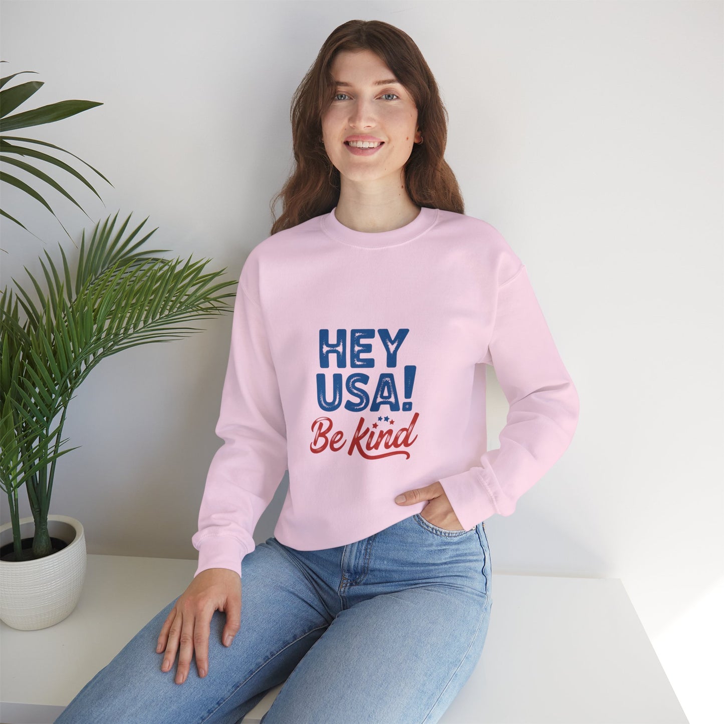 Hey USA! Be Kind and Stop The Hate - Kindcore Comforts