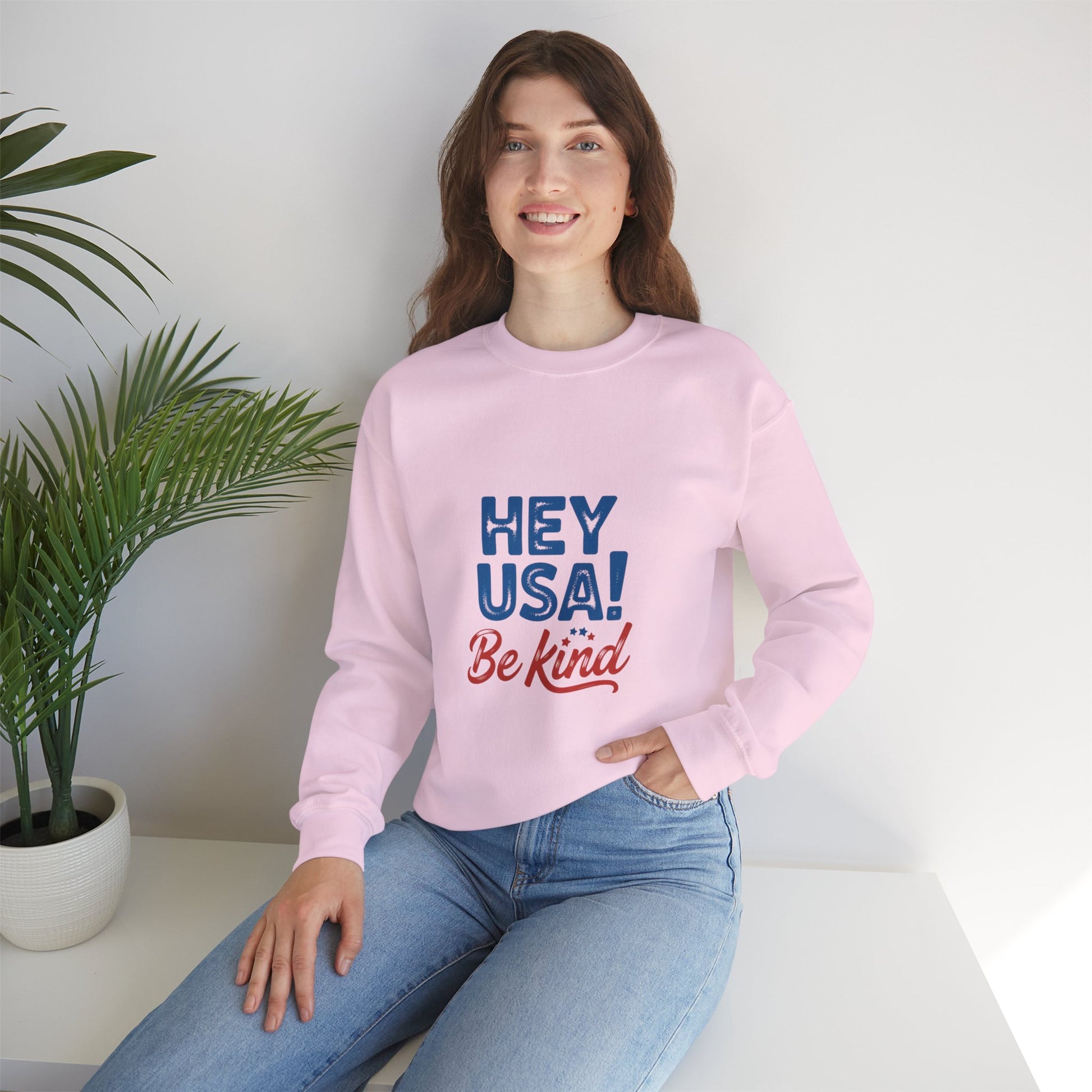 Hey USA! Be Kind and Stop The Hate - Kindcore Comforts
